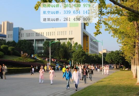 重慶三峽醫(yī)藥高等?？茖W校