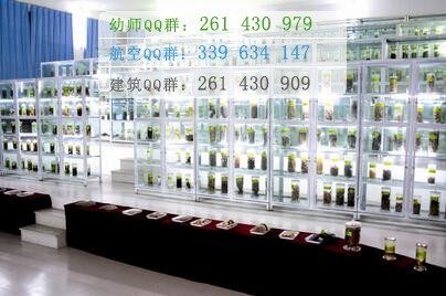 四川中醫(yī)藥高等?？茖W校