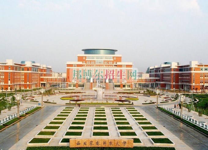 西北農(nóng)林科技大學(xué)招生辦聯(lián)系電話(huà)