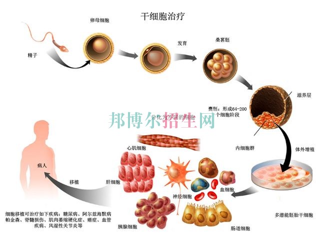 成都設有臨床醫(yī)學的公辦大專學校