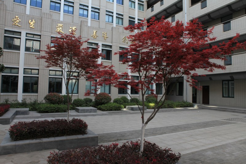 南京衛(wèi)生高等職業(yè)技術(shù)學(xué)校怎么樣、好不好