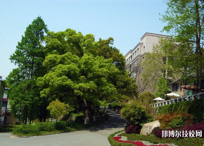 中國美術學院附屬中等美術學校2020年報名條件、招生要求、招生對象