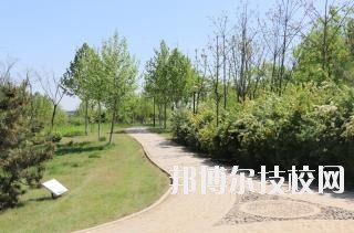 石家莊中英航空中等專業(yè)學(xué)校2020年報(bào)名條件、招生要求、招生對(duì)象