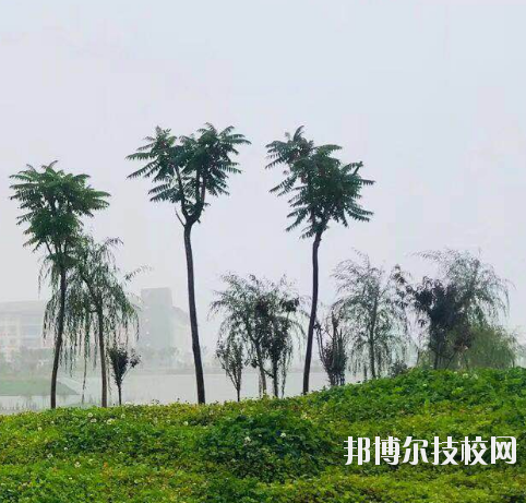 甘肅財貿(mào)職業(yè)學(xué)院2020年學(xué)費(fèi)、收費(fèi)多少