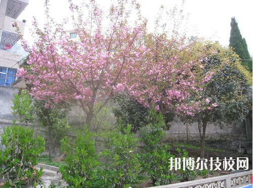 嵐皋縣中等職業(yè)技術(shù)學(xué)校2020年報(bào)名條件、招生要求、招生對(duì)象