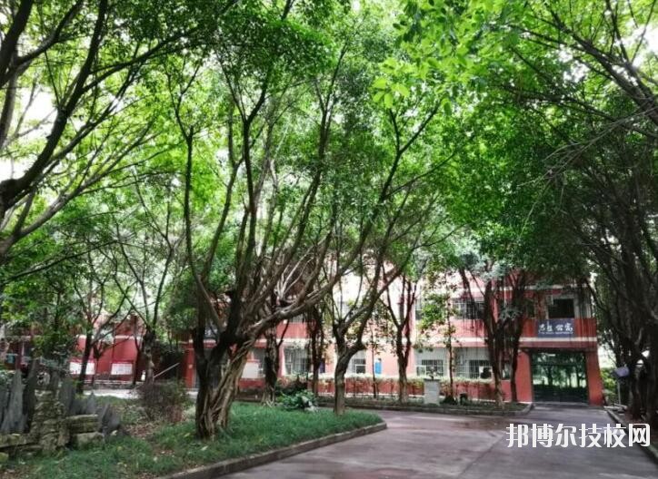 重慶舞蹈學(xué)校2020年報(bào)名條件、招生要求、招生對(duì)象