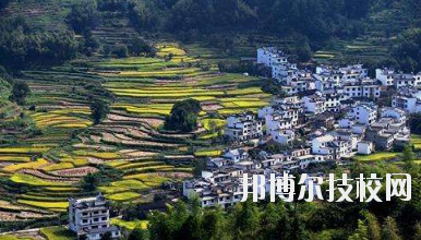江西婺源茶葉學(xué)校2020年報(bào)名條件、招生要求、招生對(duì)象