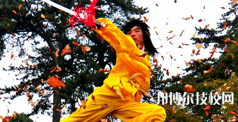 平?jīng)鲠轻嘉奈鋵W(xué)校2020年報名條件、招生要求、招生對象