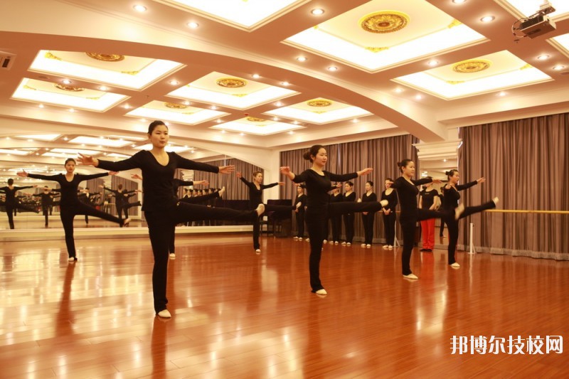 滄州職業(yè)技術(shù)學(xué)院2020年報名條件、招生要求、招生對象
