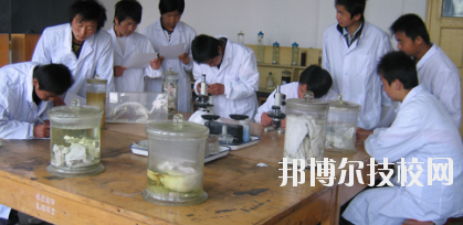 臨夏農(nóng)業(yè)學(xué)校2020年學(xué)費(fèi)、收費(fèi)多少