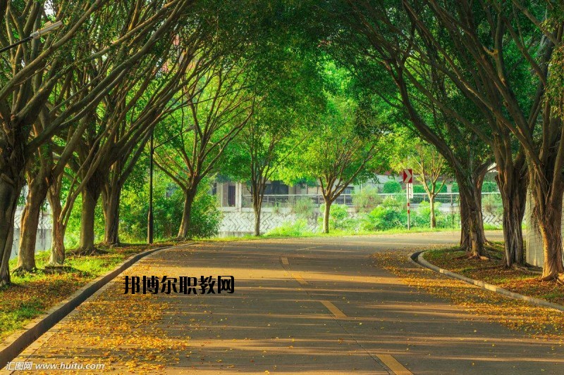 仙桃金園職業(yè)高級(jí)中學(xué)2020年報(bào)名條件、招生要求、招生對(duì)象
