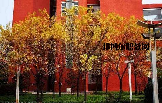 鶴峰職業(yè)技術(shù)學(xué)校2020年報名條件、招生要求、招生對象