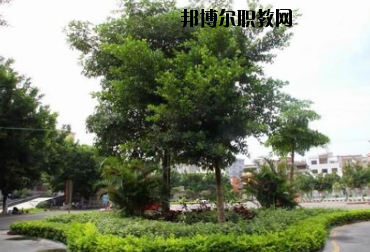 羅定中等職業(yè)技術(shù)學(xué)校2020年報(bào)名條件、招生要求、招生對象