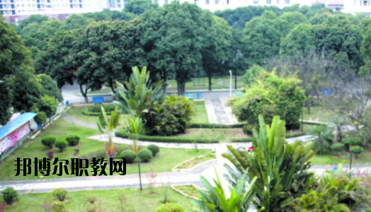 廣西百色農業(yè)學校2020年報名條件、招生要求、招生對象 
