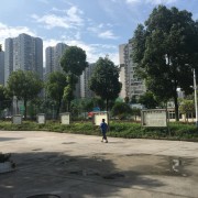 羅田理工中專(zhuān)