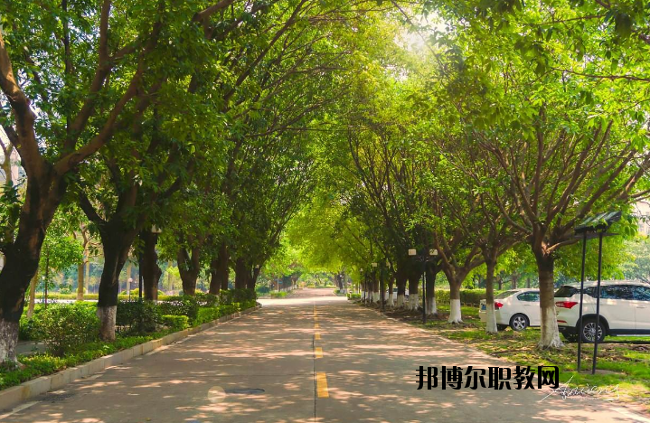 河南團校2021年報名條件、招生要求、招生對象