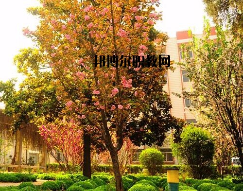 新鄉(xiāng)工業(yè)學校2021年報名條件、招生對象