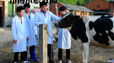 甘南畜牧學校2020年學費、收費多少
