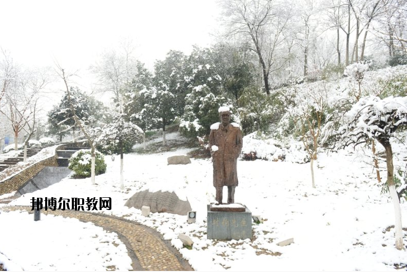 南京工業(yè)大學(xué)2020年報名條件、招生要求、招生對象