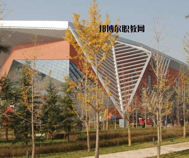 宜昌體育運(yùn)動(dòng)學(xué)校怎么樣、好不好