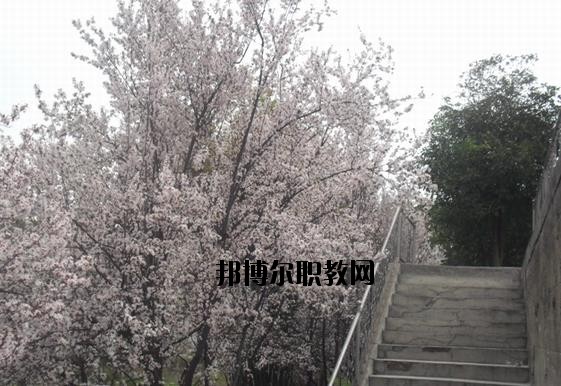 ?？德毥讨行膶W(xué)校網(wǎng)址網(wǎng)站
