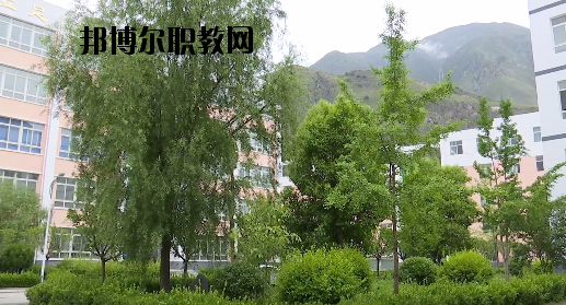 文縣職業(yè)技術(shù)學(xué)校2020年報(bào)名條件、招生要求、招生對(duì)象