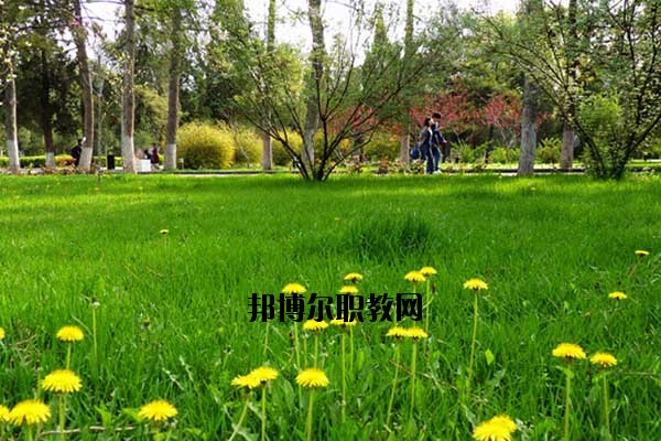 雙江縣職教中心2020年報(bào)名條件、招生要求、招生對(duì)象