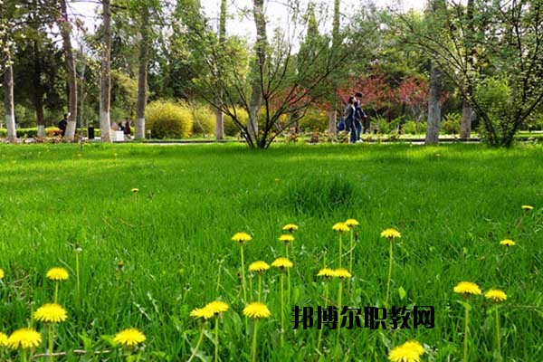 雙江縣職教中心怎么樣、好不好