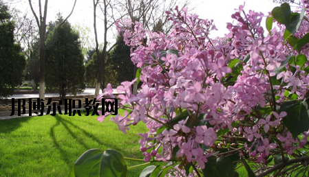 金川公司技工學(xué)校2020年報(bào)名條件、招生要求、招生對(duì)象