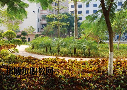 湛江技師學(xué)院怎么樣、好不好