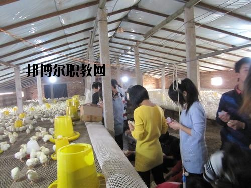 通許中等職業(yè)學(xué)校2021年學(xué)費、收費多少