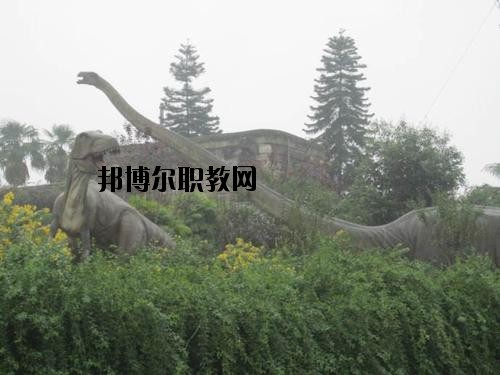 自貢三星職業(yè)技術(shù)學(xué)校2020年報(bào)名條件、招生要求、招生對(duì)象