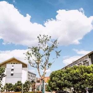 南京科技職業(yè)學(xué)院怎么樣、好不好