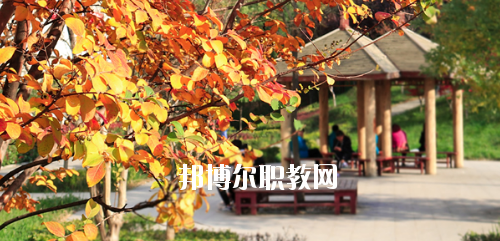 西安鐵道技師學(xué)院2020年有哪些專(zhuān)業(yè)