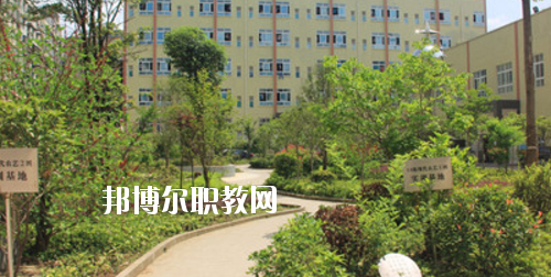 道真中等職業(yè)學(xué)校2020年報(bào)名條件、招生要求、招生對(duì)象