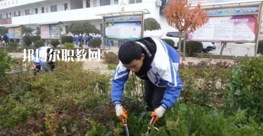 秦安縣古城農(nóng)業(yè)中學(xué)怎么樣、好不好
