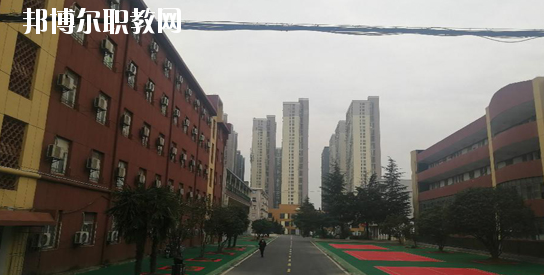 合肥求實科技學校2020年招生辦聯(lián)系電話