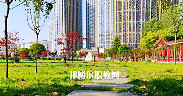 合肥飛躍學(xué)校2020年報(bào)名條件、招生要求、招生對(duì)象 