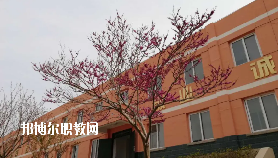 成縣化埡農(nóng)職業(yè)中學(xué)怎么樣、好不好