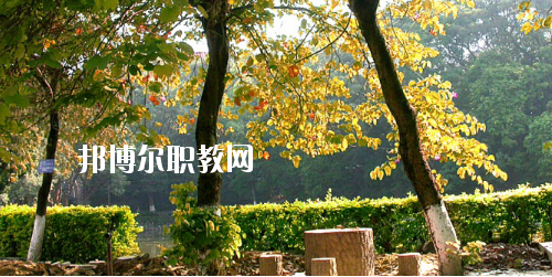 廣西民族中等專業(yè)學(xué)校怎么樣、好不好