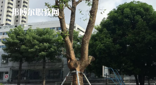 汕頭經(jīng)貿(mào)職業(yè)技術學校2021年招生錄取分數(shù)線