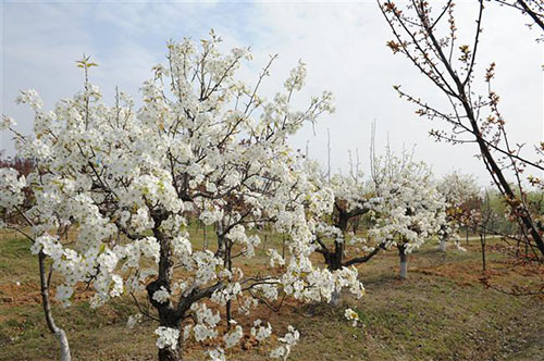 宿遷高等師范學(xué)校怎么樣、好不好