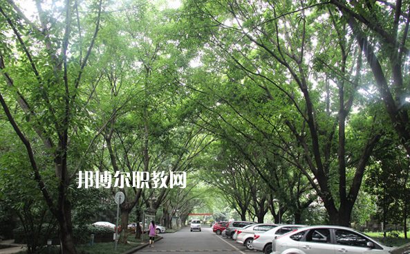 重慶2021年中專學?？梢钥即髮W嗎