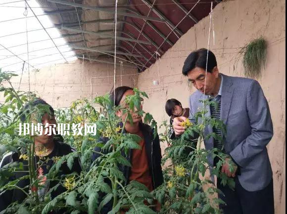 甘肅省臨夏州職業(yè)技術(shù)學(xué)校2022年學(xué)費、收費多少
