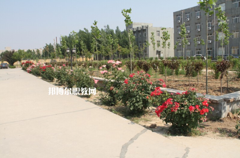 武強(qiáng)綜合職業(yè)技術(shù)教育中心2022年報(bào)名條件、招生要求、招生對(duì)象