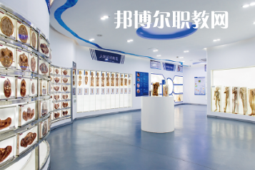 珠海市衛(wèi)生學校網(wǎng)站網(wǎng)址