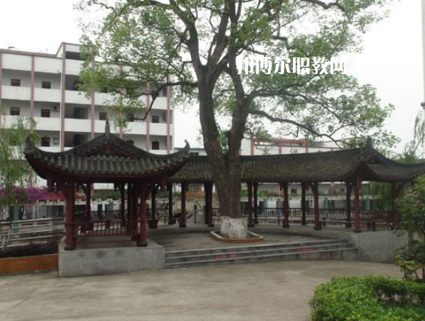 四川合江先市職業(yè)高級中學校怎么樣、好不好