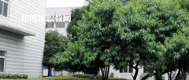 成都市中山職業(yè)技術(shù)學校2022年報名條件、招生要求、招生對象