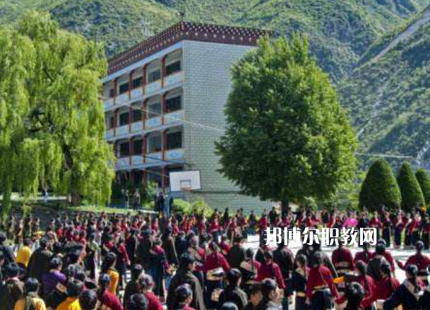 四川省藏文學(xué)校2022年報名條件、招生要求、招生對象