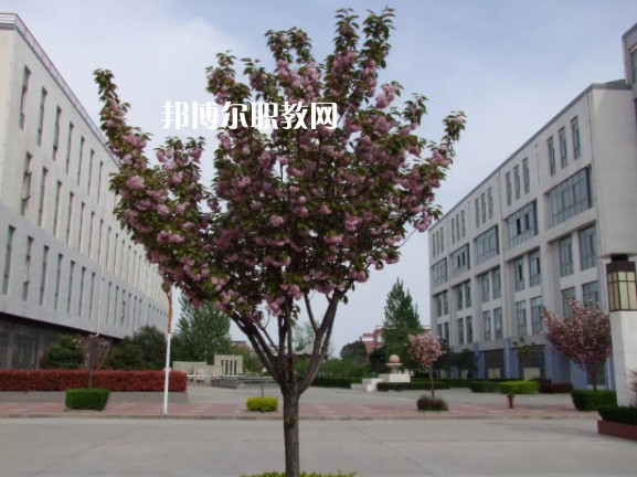 陳倉區(qū)職業(yè)教育中心2022年報名條件、招生要求、招生對象